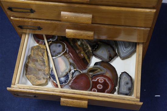 A collectors chest of beetles, mineral and fossil specimens, 3ft 5in.